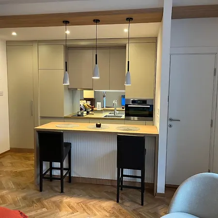 Apartment Skadarlija Urban Nest